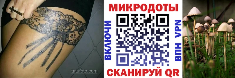 магазин продажи наркотиков  Темрюк  Галлюциногенные грибы MAGIC MUSHROOMS 